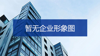 巴中市產業發展集團有限公司